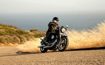 Картинка harley-davidson+xl883+superlow мотоциклы harley-davidson свобода дорога трава едет подъем байкер