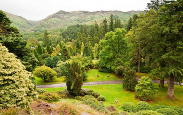 Картинка benmore-younger+botanic+garden +argyll +scotland природа парк ботанический шотландия