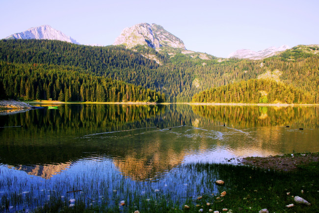 Обои картинки фото Черногория black lake, природа, реки, озера, Черногория, black, lake, озеро, лес