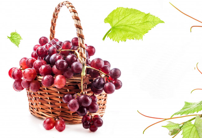 Обои картинки фото еда, виноград, корзина