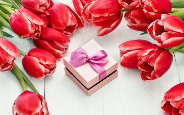 обоя праздничные, международный женский день - 8 марта, цветы, red, tulips, тюльпаны, 8, марта, romantic, gift, красные, colorful, love