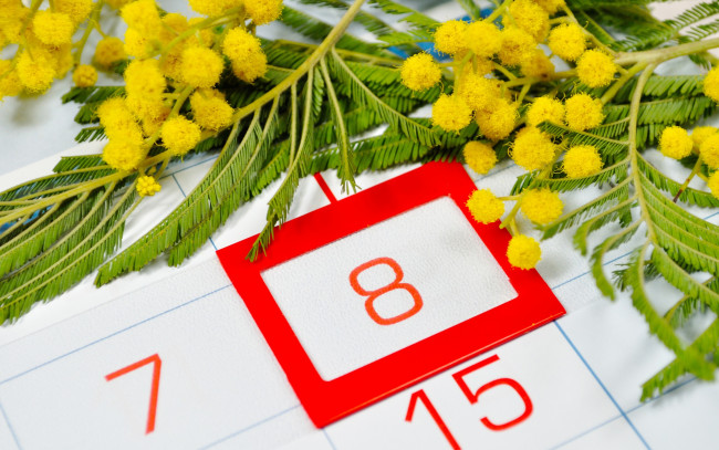 Обои картинки фото праздничные, международный женский день - 8 марта, цветки, дата, календарь, желтые, красные, женский, день, числа, мимоза, 8, марта