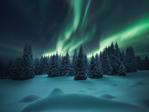 Картинка природа северное+сияние сугробы ели зима снег лес северное сияние
