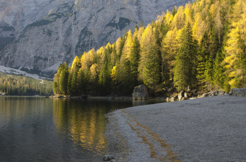 Картинка природа реки озера деревья осень река горы