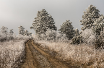 Картинка природа дороги иней дорога деревья зима