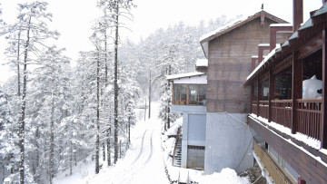 Картинка города -+здания +дома дом снег лес