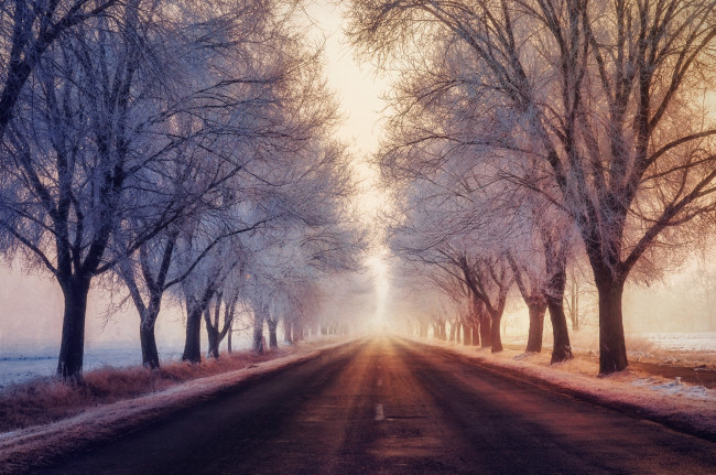 Обои картинки фото природа, дороги, зима, иней, дорога, туман