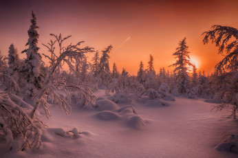 Картинка природа восходы закаты россия салехард деревья снег