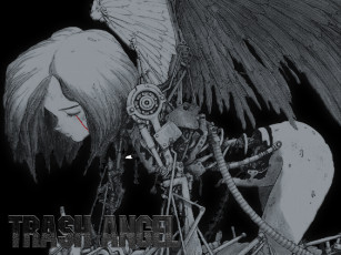 Картинка аниме battle angel alita