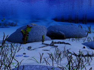 Картинка 3д графика sea undersea море камни песок