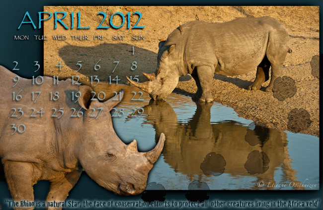 Обои картинки фото календари, животные, носороги