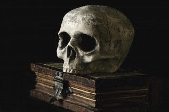 Картинка разное кости +рентген череп