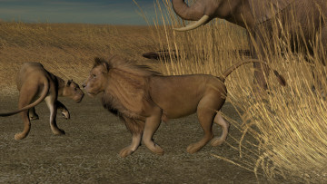 Картинка 3д+графика animals+ животные сафари львы слон