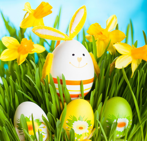 Обои картинки фото праздничные, пасха, easter, flowers, grass, daffodils, нарциссы, eggs, spring, bunny, яйца, трава, цветы, весна, кролик