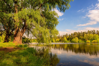 Картинка природа реки озера озеро галанзовская оксана отражение весна май лес