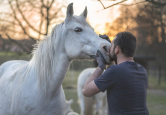 Картинка мужчины -+unsort конь белый мужчина поцелуй