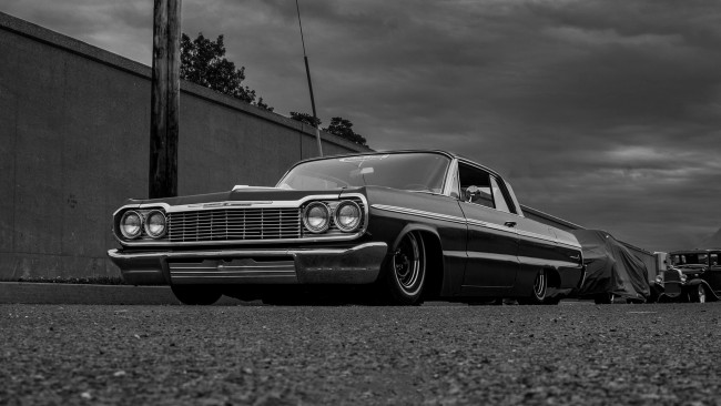 Обои картинки фото автомобили, chevrolet, 1964, impala