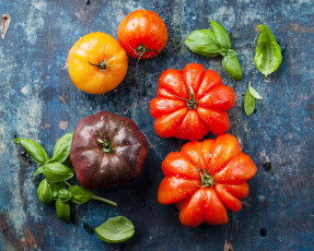 Картинка еда помидоры базилик томаты ассорти