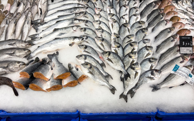 Обои картинки фото еда, рыба,  морепродукты,  суши,  роллы, лед, свежая, ассорти