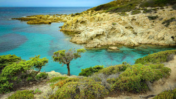 Картинка corsica природа побережье