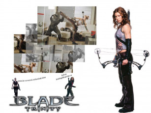 обоя кино, фильмы, blade, trinity