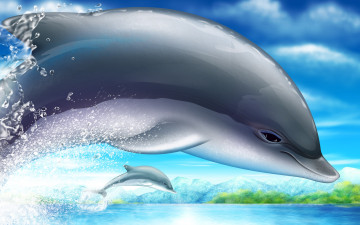 обоя рисованные, животные, дельфины