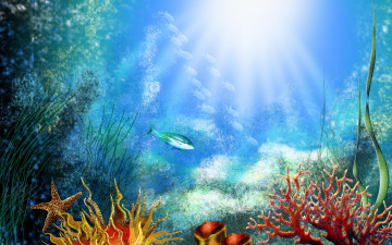 Картинка рисованные животные морская фауна