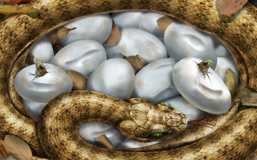 Картинка рисованные животные змеи
