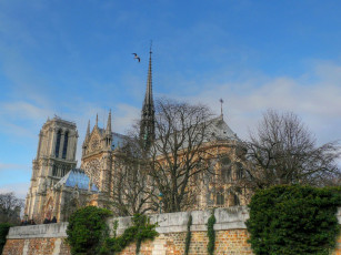 обоя notre, dame, de, paris, города, париж, франция