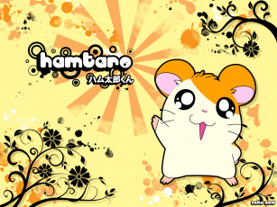 Картинка аниме hamtaro