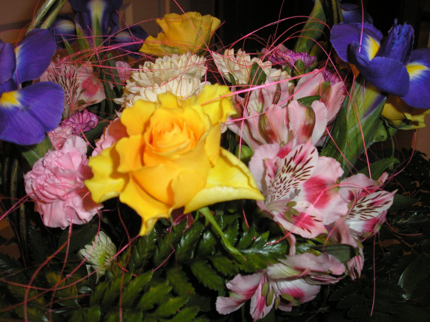 Обои картинки фото цветы, разные, вместе, гвоздика, роза, альстромерия, ирисы
