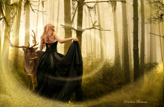Обои картинки фото фэнтези, фотоарт, деревья, магия, лес, спина, платье, черное, животное