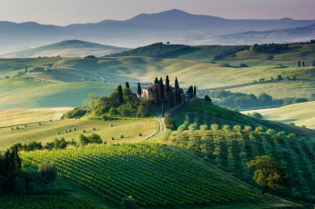 Картинка города -+пейзажи поля виноградники тоскана италия дом деревья