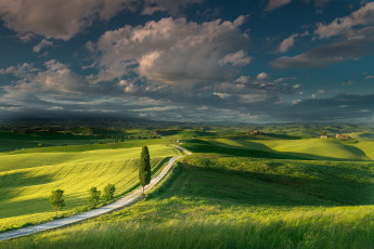 Картинка природа луга тоскана поля италия лето небо облака