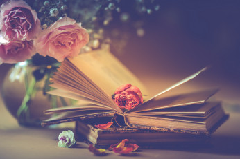 Картинка разное канцелярия +книги розы букет лепестки книги стиль цветы бутон