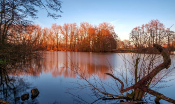 Картинка природа реки озера отражение вода