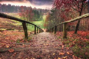 Картинка природа дороги лестница осень