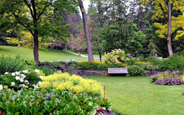 Картинка природа парк лужайка скамейка клумбы