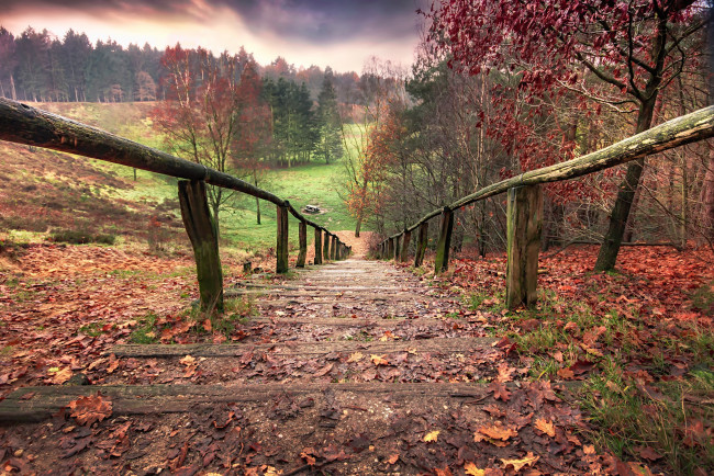 Обои картинки фото природа, дороги, лестница, осень