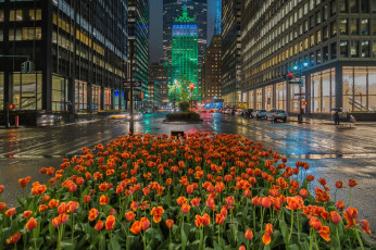 Картинка города нью-йорк+ сша манхеттен
