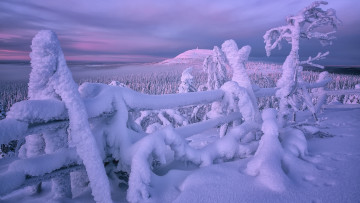Картинка природа зима забор снег