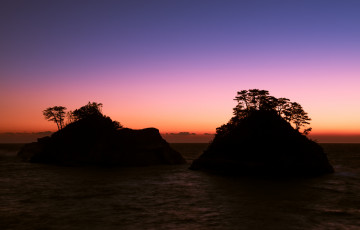 Картинка природа восходы закаты деревья острова море закат