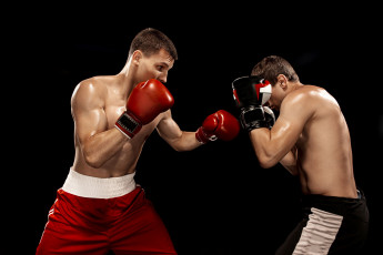 Картинка спорт бокс боксеры