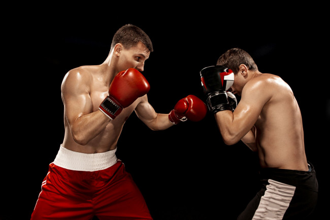 Обои картинки фото спорт, бокс, боксеры