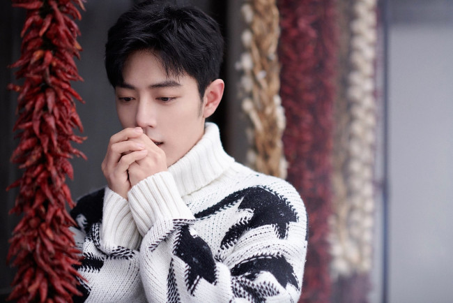Обои картинки фото мужчины, xiao zhan, актер, свитер, холод, специи