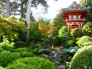 Картинка japanese garden природа парк