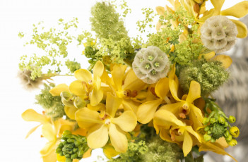 обоя цветы, букеты, композиции, настроение, желтый, орхидеи