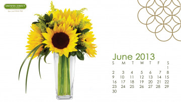 Картинка календари цветы подсолнухи