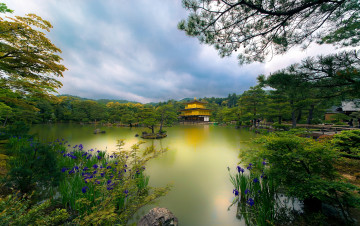 Картинка golden pavilion kyoto japan города буддистские другие храмы temple киото Япония озеро деревья цветы храм парк золотой павильон