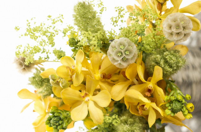 Обои картинки фото цветы, букеты, композиции, настроение, желтый, орхидеи